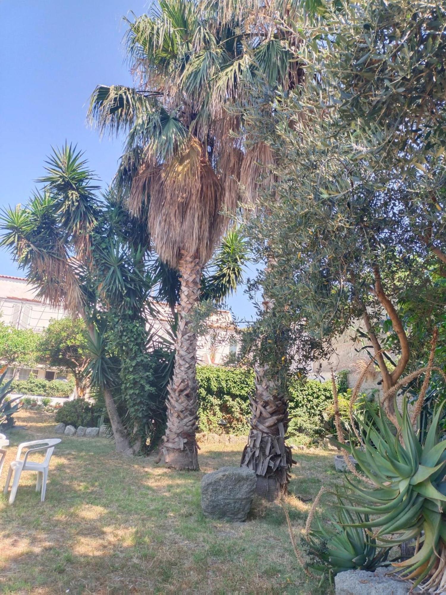 Relais Villa Raffaele By Emilia Ischia Buitenkant foto